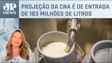 Importação de leite atingirá recorde em fevereiro