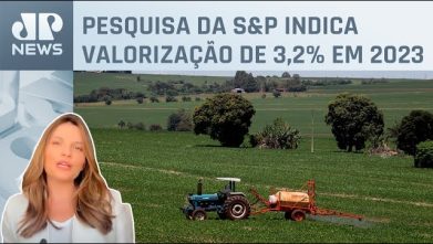 O que esperar do mercado de terras em 2024