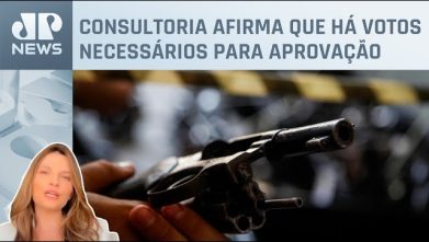 PL sobre porte e posse de armas pode avançar na Câmara