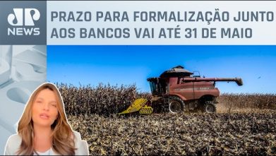 Saiba quem poderá renegociar dívidas no agronegócio