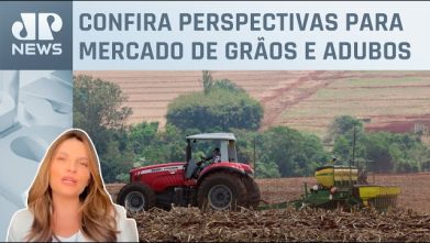 Soja e fertilizante: qual a tendência de preços?