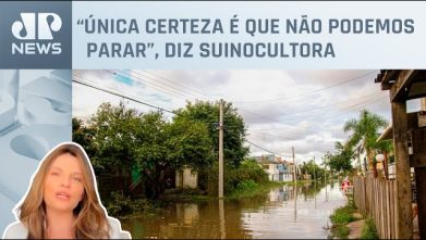 Após enchente, agro do Rio Grande do Sul tenta recomeçar