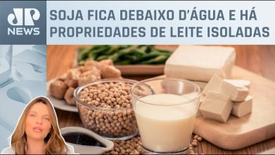 Catástrofe no RS produção de soja e leite deve cair