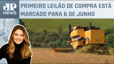 Importação de arroz custará bilhões aos cofres públicos