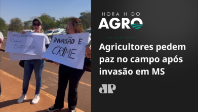 Agricultores pedem paz no campo após invasão de terra em MS