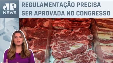 Carne mais cara? Entenda os impactos da reforma tributária no agro!