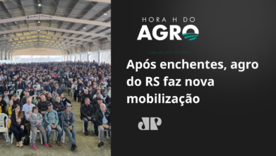 Dívidas para vencer: agricultores aguardam angustiados socorro do governo