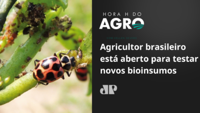 Agricultor brasileiro está aberto para testar novos bioinsumos