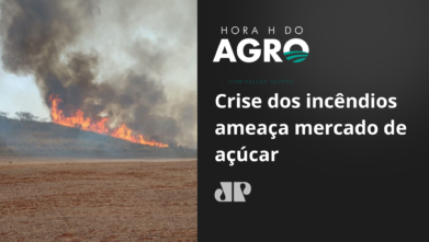 Crise dos incêndios ameaça mercado de açúcar