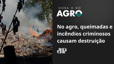 No agro, queimadas e incêndios criminosos causam destruição