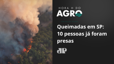 O que está por trás dos incêndios criminosos em SP?