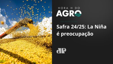 Safra 24/25 de soja: La Niña é a preocupação