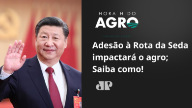 Adesão à Rota da Seda impactará o agro. Saiba como!