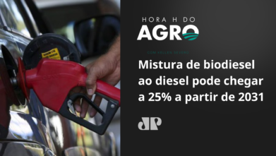 Mistura de biodiesel ao diesel pode chegar a 25% a partir de 2031