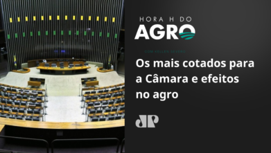 Os mais cotados para a Câmara e efeitos no agro