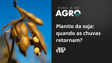 Plantio da soja: quando as chuvas retornam?