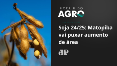 Soja 24/25: Matopiba vai puxar aumento de área