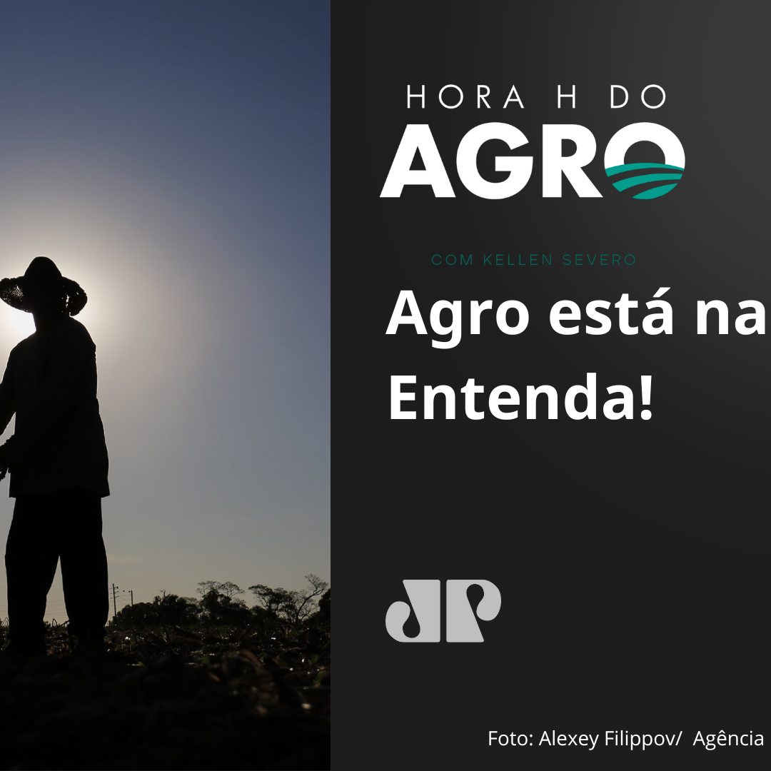 Agro está na pior? Entenda!