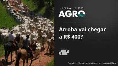 Arroba vai chegar a R$ 400?