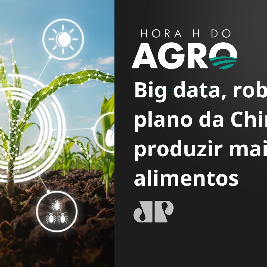 Big data, robôs e ia: o plano da China para aumentar a produção de alimentos