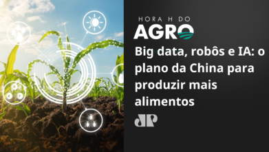 Big data, robôs e ia: o plano da China para aumentar a produção de alimentos