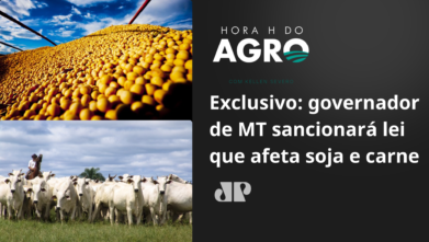 Exclusivo: governador de MT sancionará lei que afeta soja e carne