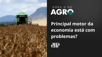 Principal motor da economia está com problemas?