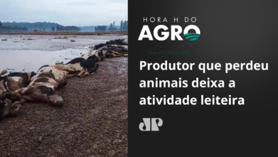 Produtor que perdeu animais deixa a atividade leiteira