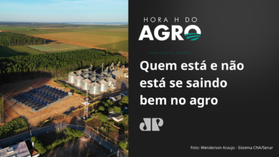 Quem está e não está se saindo bem no agro