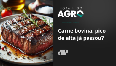 Carne bovina: pico de alta já passou?