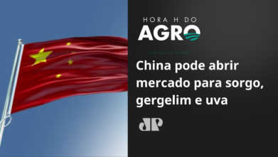 China pode abrir mercado para sorgo, gergelim e uva