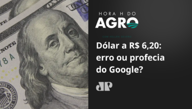 Dólar a R$ 6,20: Erro ou profecia do Google?