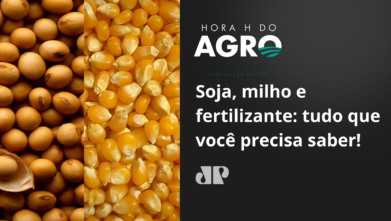 Soja, milho e fertilizantes: tudo que você precisa saber!